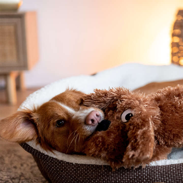 Nobby Kuscheltier HUND SCHLAPPI